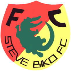 史蒂夫比科